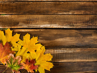 Wall Mural - autumn maple leaves on wooden table with copy space. top view of square frame with lower left corner