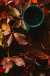 © Ramon Lopez/ADDICTIVE STOCK - From above green cup surrounded by autumn colorful leaves with drink on wooden table
