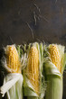 © Ramon Lopez/ADDICTIVE STOCK - Top view of steps of fresh ripe corn peeling on black table