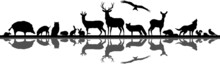 Wild Animals Forest Landscape Vector Silhouette