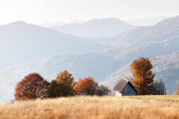 Wall Mural - Picturesque autumn meadow with wooden house and red beech trees in the Carpathian mountains, Ukraine. Landscape photography