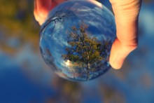 Reflection Of Fall Trees And Blue Sky During The Golden Hour In A Glass Ball