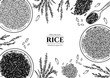 Vector frame with rice . Hand drawn. Vintage style