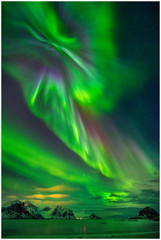 aurora