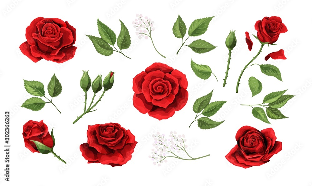 Red roses hand drawn illustration elements colored set - obrazy, fototapety, plakaty 