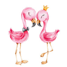 Flamingo Couple; Watercolor Hand Draw Illustration; Can Be Used For Cards And Invitations For Valentine's Day; With White Isolated Background