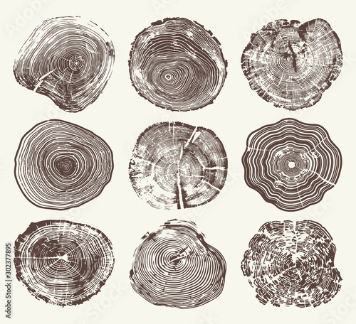 Fotomural Wood Tree Rings Vector Set