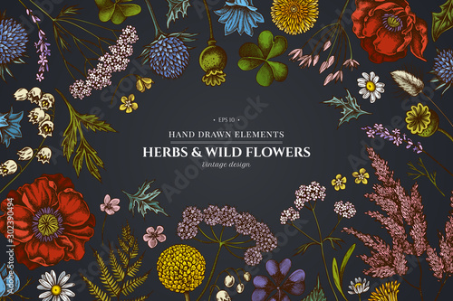 Fotomural Floral design on dark background with shepherd's purse, heather, fern, wild garl