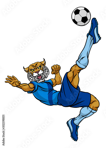A wildcat soccer football p...