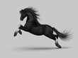 Galloping black horse. 3d illustration