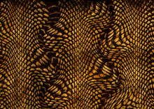 Abstract Snake Skin Texture 