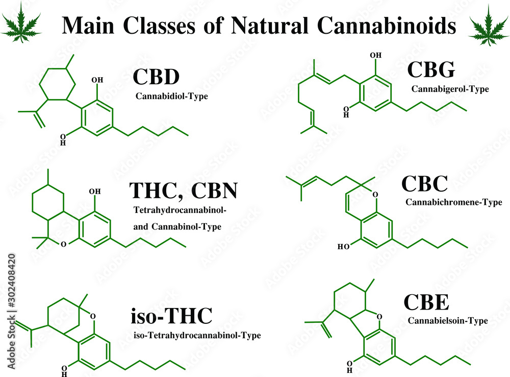 Vetor Main classes of natural cannabis skeleton chemist structure