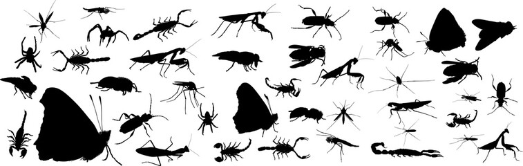 Sticker - forty one insects collection isolated on white