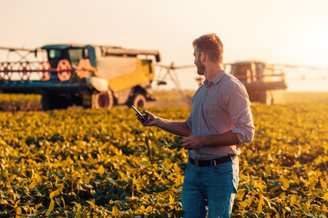 Farmer standing in filed examining soybean corp.