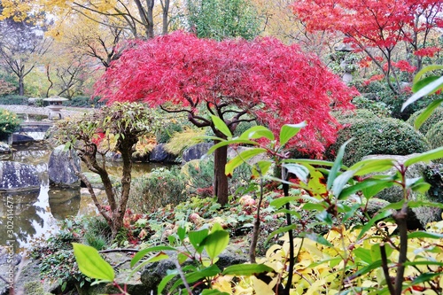 Plakat Uczta Dla Oczu Str 2