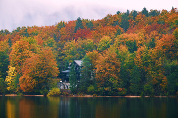 Sticker - Beautiful autumn scenery at lake Bohinj