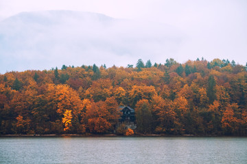 Sticker - Beautiful autumn scenery at lake Bohinj