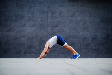 Side view of handsome fit muscular caucasian man doing inchworms exercise and looking at camera.