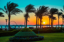 Beautiful Sunset In The Park With Palm Trees By The Red Sea, Sharm El Sheikh, Egypt.