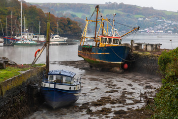 Wall Mural - Galmpton Creek, Devon, England