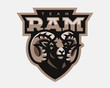 Ram modern mascot logo. Aries design emblem template for a sport and eSport team.