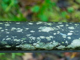 Wall Mural - abstract texture of different backgrounds