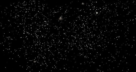 Canvas Print - Flying dust particles on a black background