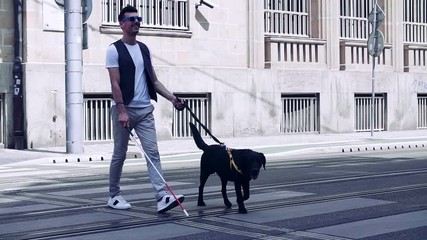 Wall Mural - Young blind man with white cane and guide dog walking across street in city.