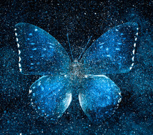 Universe Starry Sky With Butterfly