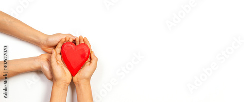 Cuadros en Lienzo Hands holding red heart over white background