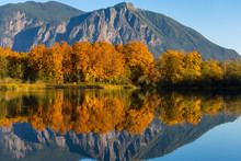 The Calm, Still Waters Of A Large Pond Near Snoqualmie, Washington, Reflect The Beautiful Fall Colors Of Shoreline Trees And Mt. Si In The Distant Background. Close-up..