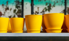 A Lot Of Yellow Ceramic Flower Pots On A Shelf In A Garden Equipment Store. Garden Clay Pots Are Sold For Interior Decorating. A Group Of New Gardening Tools For Planting