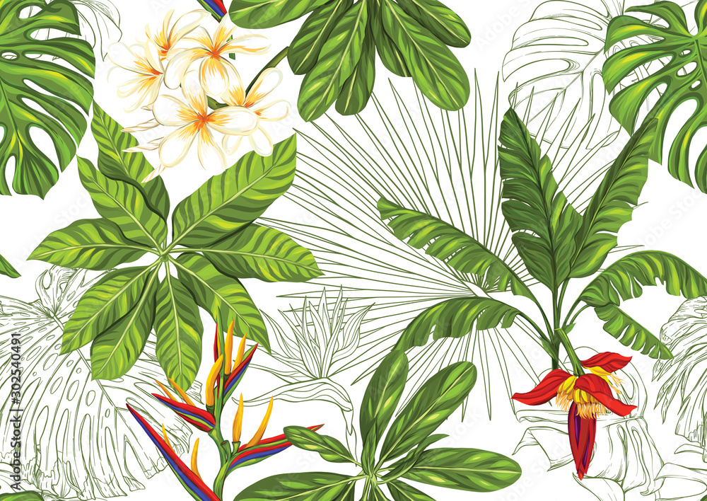 Tropical plants and flowers. Seamless pattern, background. Colored and  outline design. Vector illustration. Isolated on white background Stock  Vector | Adobe Stock