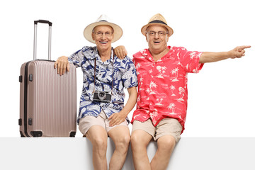 Canvas Print - Senior male tourists sitting on a panel with a suitcase and pointing