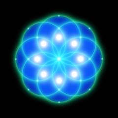 Wall Mural - Sacred geometry, blue flower. Vector design.