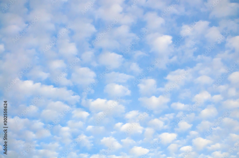 cloudscape with altocumulus clouds at sunny day - obrazy, fototapety, plakaty 