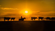 Silueta en el horizonte de un gaucho con su ganado