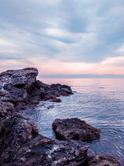 Wall Mural - Rocky coastal shoreline of Friday Harbor in San Juan Island, WA, on an overcast day