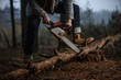 © nick_fedirko - Lumberman work with chainsaw  sawing a tree in the forest. Lifestyle work.  Male hands with a saw in the woods. Detail . Hard work with a saw.