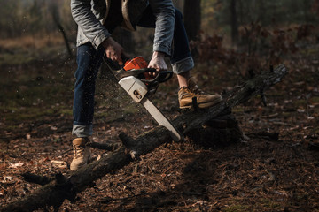 Wall Mural - Lumberman work with chainsaw  sawing a tree in the forest. Lifestyle work.  Male hands with a saw in the woods. Detail . Hard work with a saw.