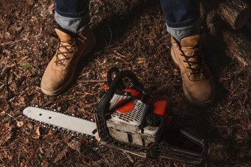 Wall Mural - Lumberman work with chainsaw  sawing a tree in the forest. Lifestyle work.  Male hands with a saw in the woods. Detail . Hard work with a saw.