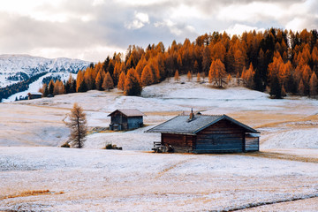 Wall Mural - Magical and gorgeous scene in Dolomites mountain