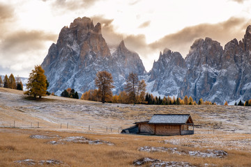 Wall Mural - Alpe di Siusi or Seiser Alm with Sassolungo - Langkofel mountain group