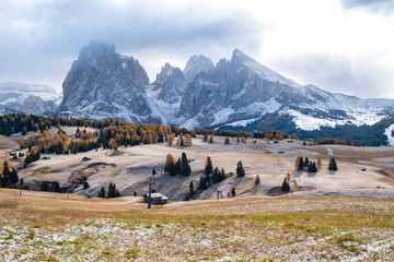 Wall Mural - Alpe di Siusi or Seiser Alm with Sassolungo - Langkofel mountain group