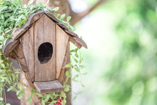 Background View Of A Small Wooden House (Bird House) For Decorating In Gardens Or Decorating In Various Cafes For The Beauty Of The Spectators.