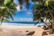 Coconut palm trees on exotic paradise beach. Summer vacation and tropical beach concept.