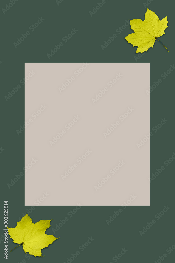 Strict Color strict minimalism, modern pantone colors and unusual and bold ...