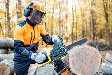 Poster - Professional lumberjack in protective workwear working with a chainsaw in the forest, sawing a thick wooden log