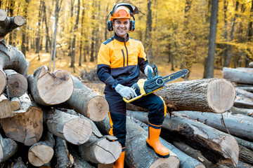 Sticker - Portrait of a cheerful professional lumberjack in protective workwear standing with a chainsaw on a pile of logs in the forest