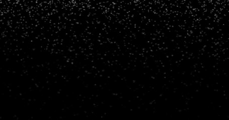 Wall Mural - Natural white winter snowfall on a black background